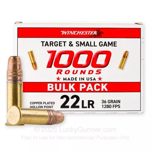 22 LR – 36 Grain CPHP – Winchester USA – 2000 Rounds