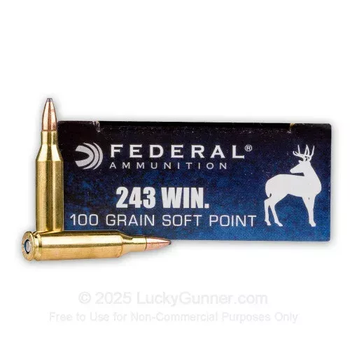 243 – 100 Grain SP – Federal Power-Shok – 200 Rounds