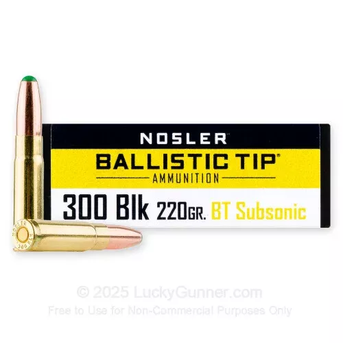 300 AAC Blackout – 220 Grain Ballistic Tip – Silver State Armory – 20 Rounds