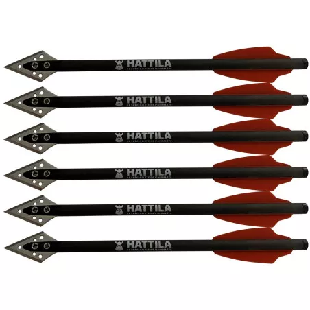 6 Carbon hunting arrows for crossbows 80 lbs