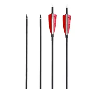 Adventurer Traditional Arrow
