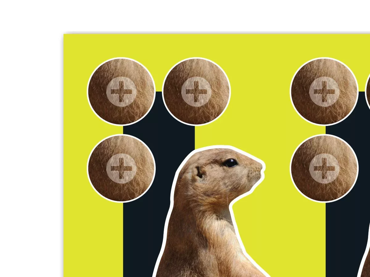 Allen Company EZ Aim Splash Prairie Dog Target, 8"x8", 6-pack