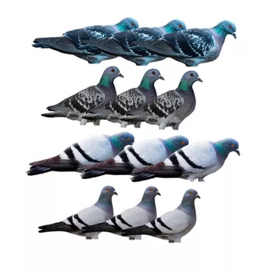 Avery Pro Grade Pigeon Silhouette Decoys- 1 dozen- 77014