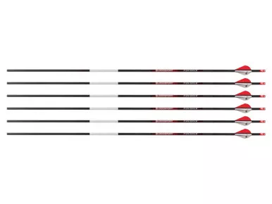 Bloodsport Punisher Arrow, 300 Spine, 6 Pack