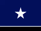 Bonnie Blue Flag