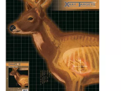Champion X-Ray Paper Targets, Deer, 25x25- 6pk