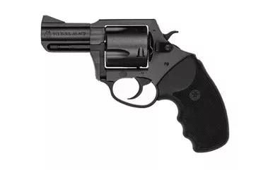 CHARTER ARMS PITBULL 45ACP 2.5 5RD