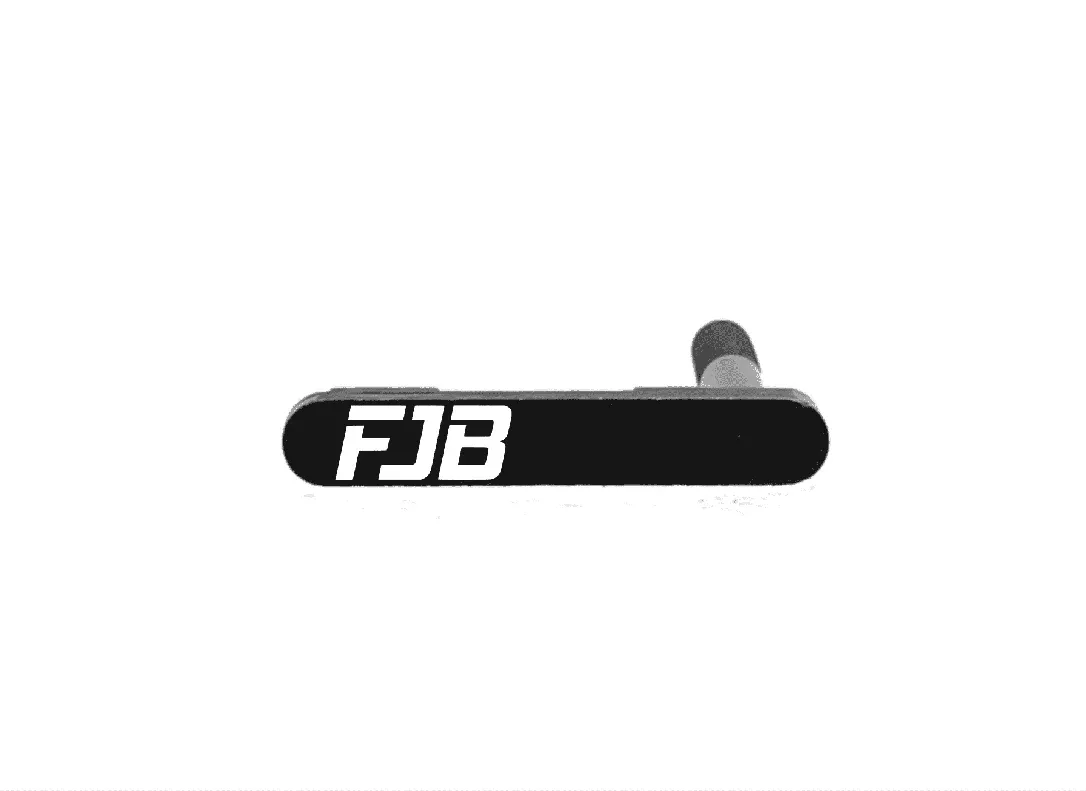 Engraved AR-15 Magazine Catch – FJB
