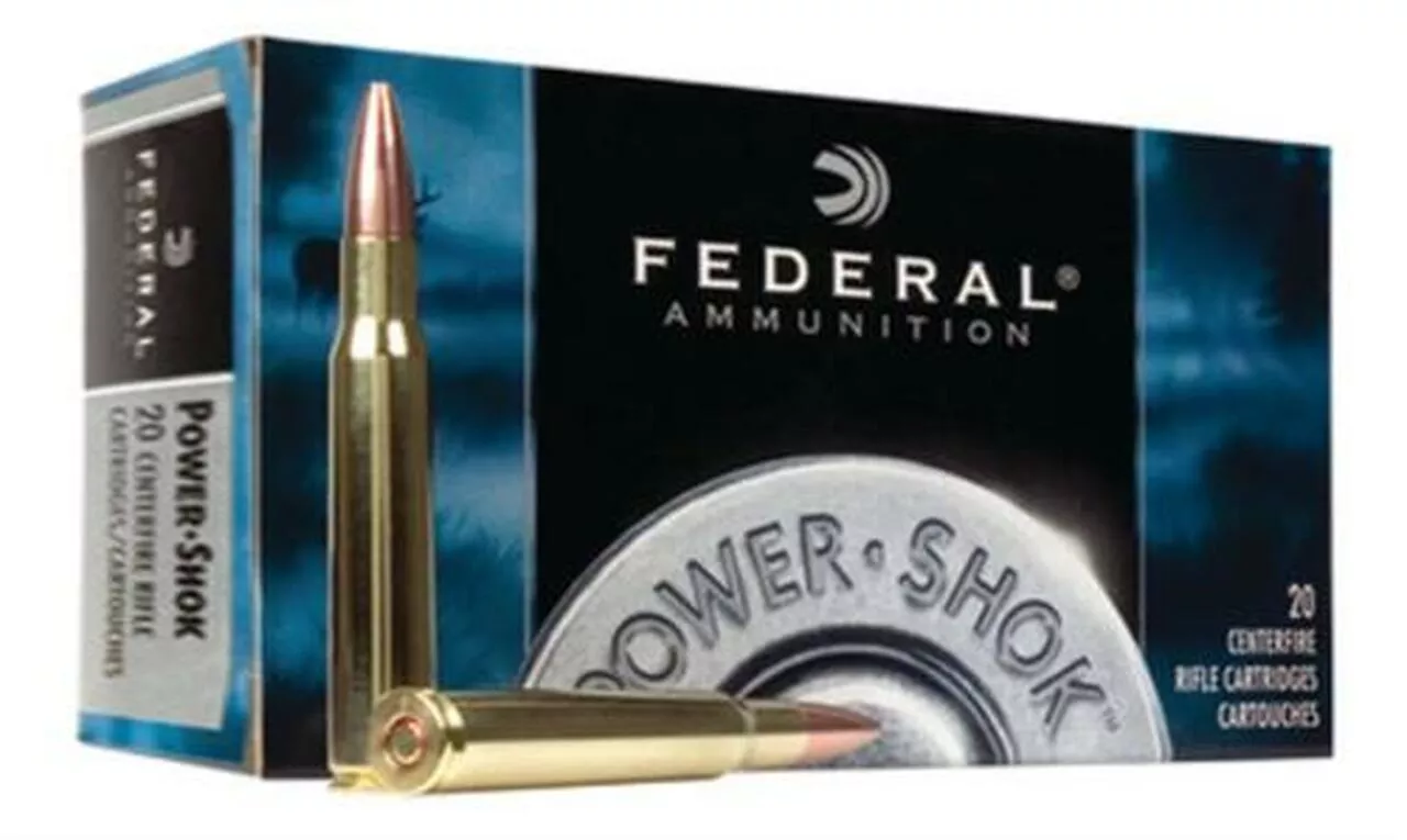 Federal Power-Shok 6mm Remington Soft Point 100gr, 20Box/10Case