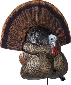Flextone FLEXTONE THUNDER CREEPER STRUTTER DECOY W/ FOLDING FAN