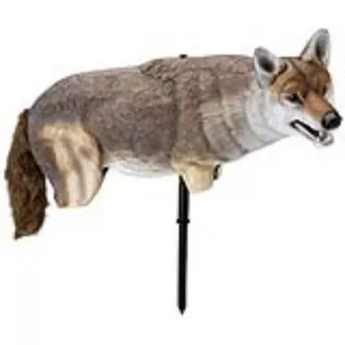 Lucky Duck Yote’ Coyote Decoy