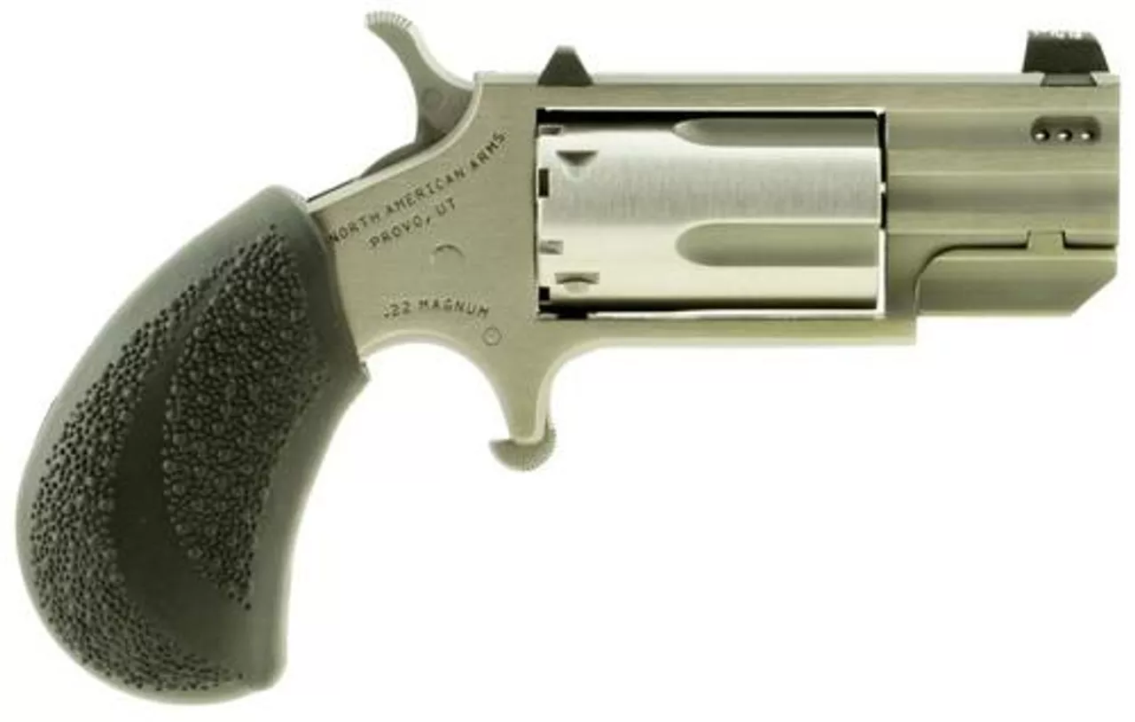 NAA Pug Ported 22 WMR 1″ 5 Rds Tritium Black Poly Grip SS