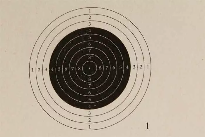 National Target Air Rifle Target, 12 Bullseye, 100 ct