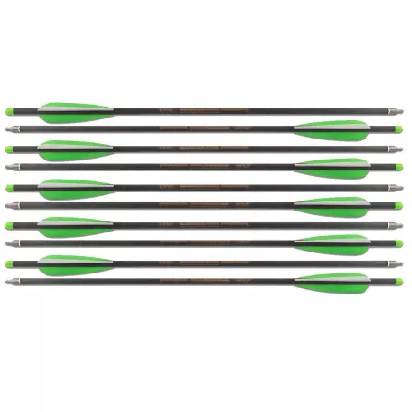 Pack of 10 20-Inch Carbon Arrows