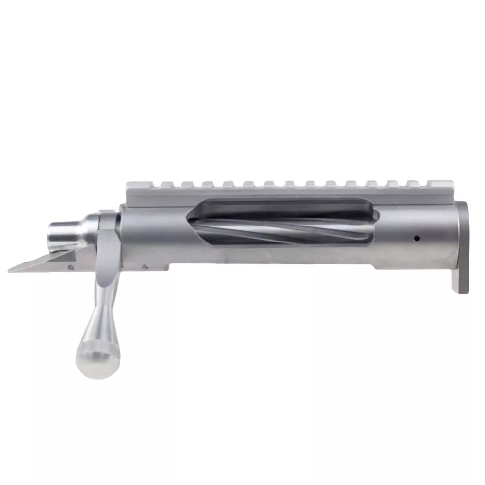 PPG Viking Action Valhalla LA / Rail / Recoil Lug