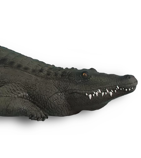 Rinehart Alligator