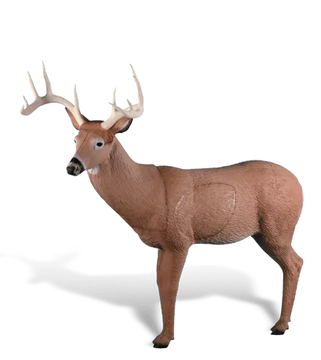Rinehart Big Ten Buck
