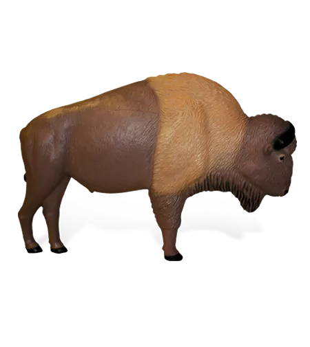Rinehart Buffalo