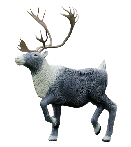 Rinehart Caribou