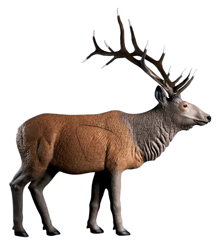 Rinehart Elk Standing