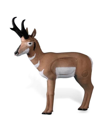Rinehart Pronghorn Antelope