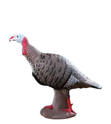 Rinehart Tom Turkey Target