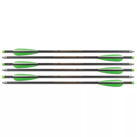 Set of 6 20-Inch Carbon Arrows