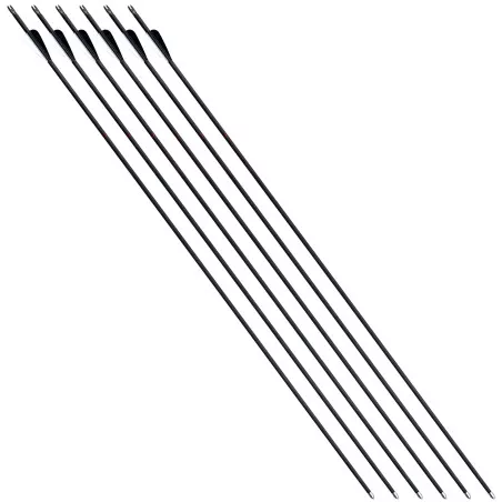 Set of 6 Hattila 4.2 Carbon Arrows for Archery