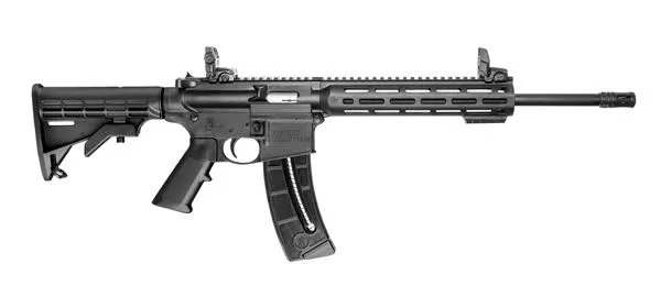Smith & Wesson M&P15 15-22 SPORT 25RD 10208