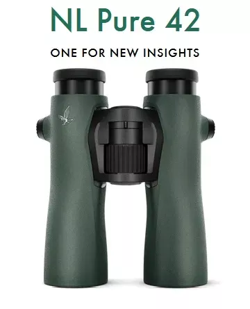 Swarovski Optik NL Pure 12×42 Binoculars Green – 36012